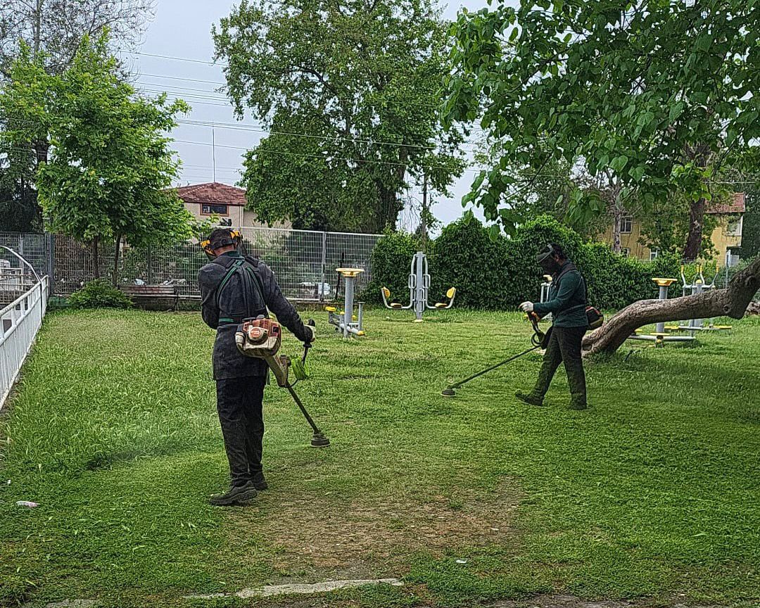 Sapanca’da Park ve Bahçelerde Hummalı Çalışma